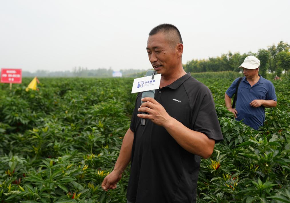 农药农绿色质量安全产品有哪些_农药农绿色质量安全产品包括_绿色农药与农产品质量安全