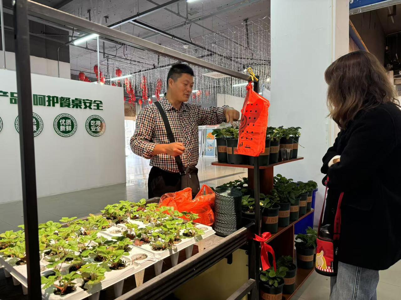 我国农产品绿色通道_绿色渠道模式可分为_绿色农产品渠道