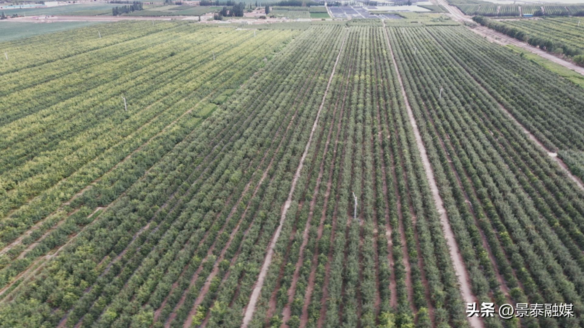示范农口质量安全产品是指_口农产品质量安全 示范_示范农口质量安全产品有哪些