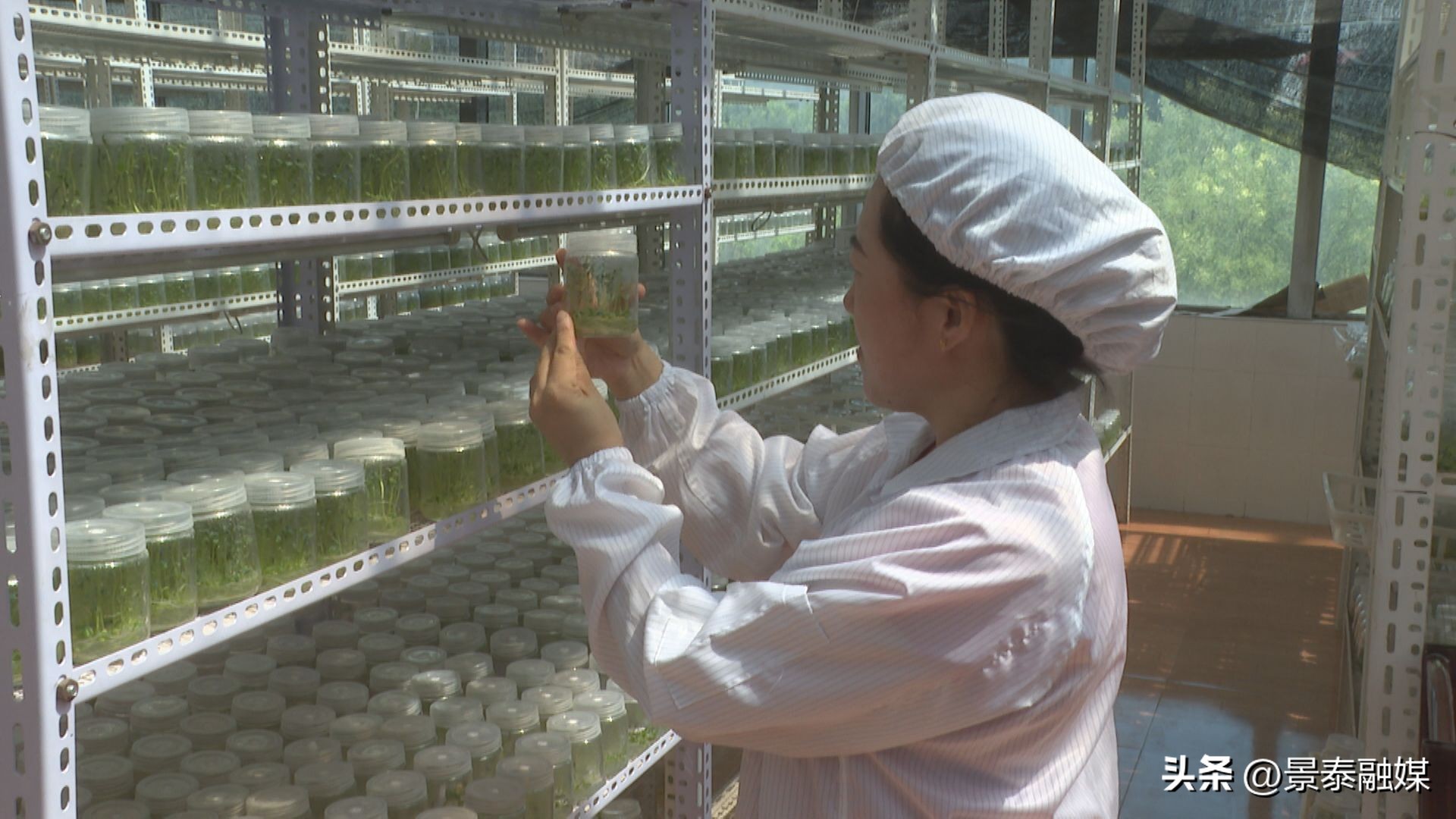 口农产品质量安全 示范_示范农口质量安全产品有哪些_示范农口质量安全产品是指
