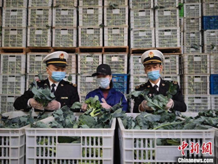 农产品出口基地建设_我国出口农产品基地_中国农产品出口基地