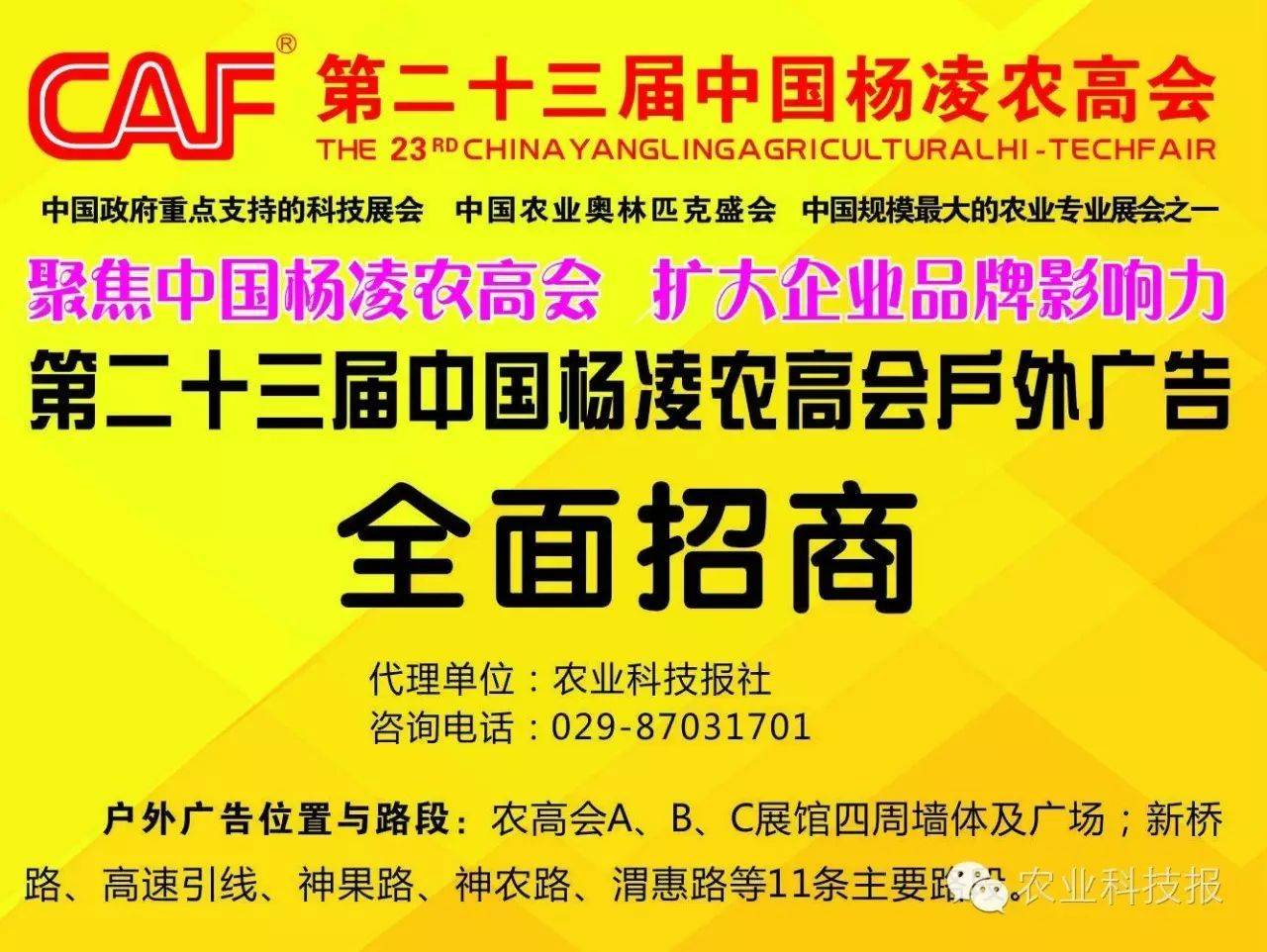滞销农产品的促销方案_农产品滞销的案例_宁夏农产品滞销案例