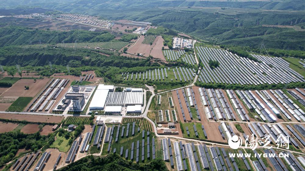 绿色农产品农药使用标准_绿色农药与农产品质量安全_农药农绿色质量安全产品有哪些