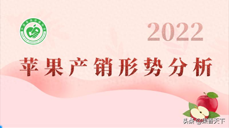 2023年晚熟苹果上市季节：陕西苹果产量下滑但品质提升，产销形势分析会线上举行