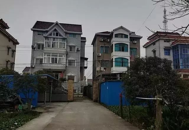 农村特色农产品_什么特色农产品_特色农产品包括哪些