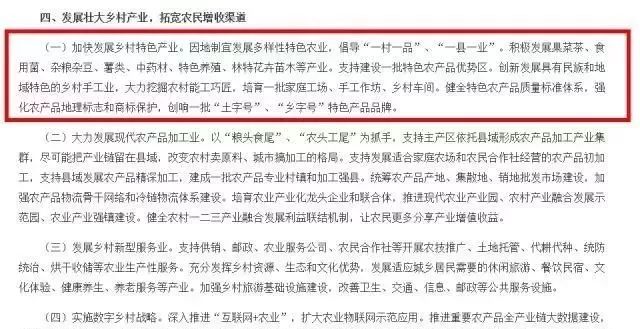 特色农产品包括哪些_农村特色农产品_什么特色农产品