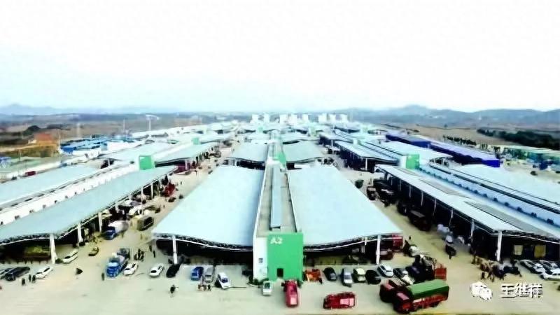 王继祥解析农产品冷链集散中心基本特征与技术需求，推动现代化冷链物流发展