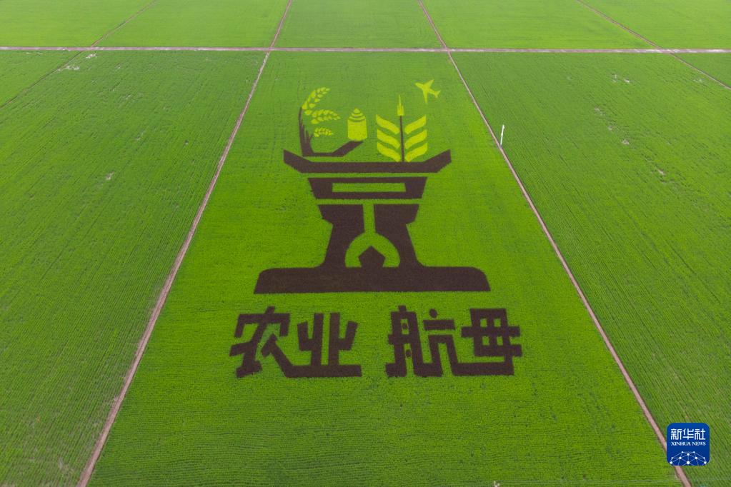 常宁市聚一同农产品_常宁农批_常宁市农批市场什么时候开业