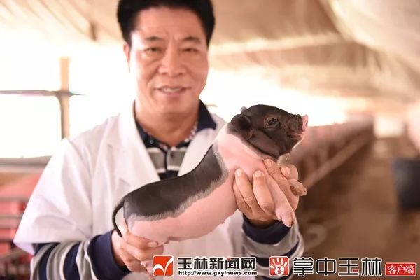 中国优势农产品有哪些_我国优势农产品_十一种优势农产品