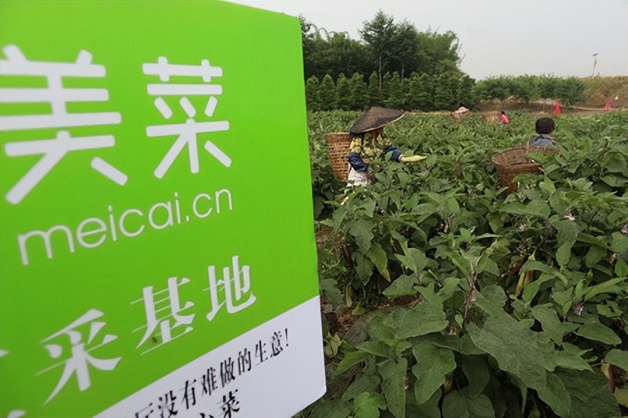 农产品溯源系统的设计与开发_农产品溯源系统主要内容_农产品溯源系统的市场分析