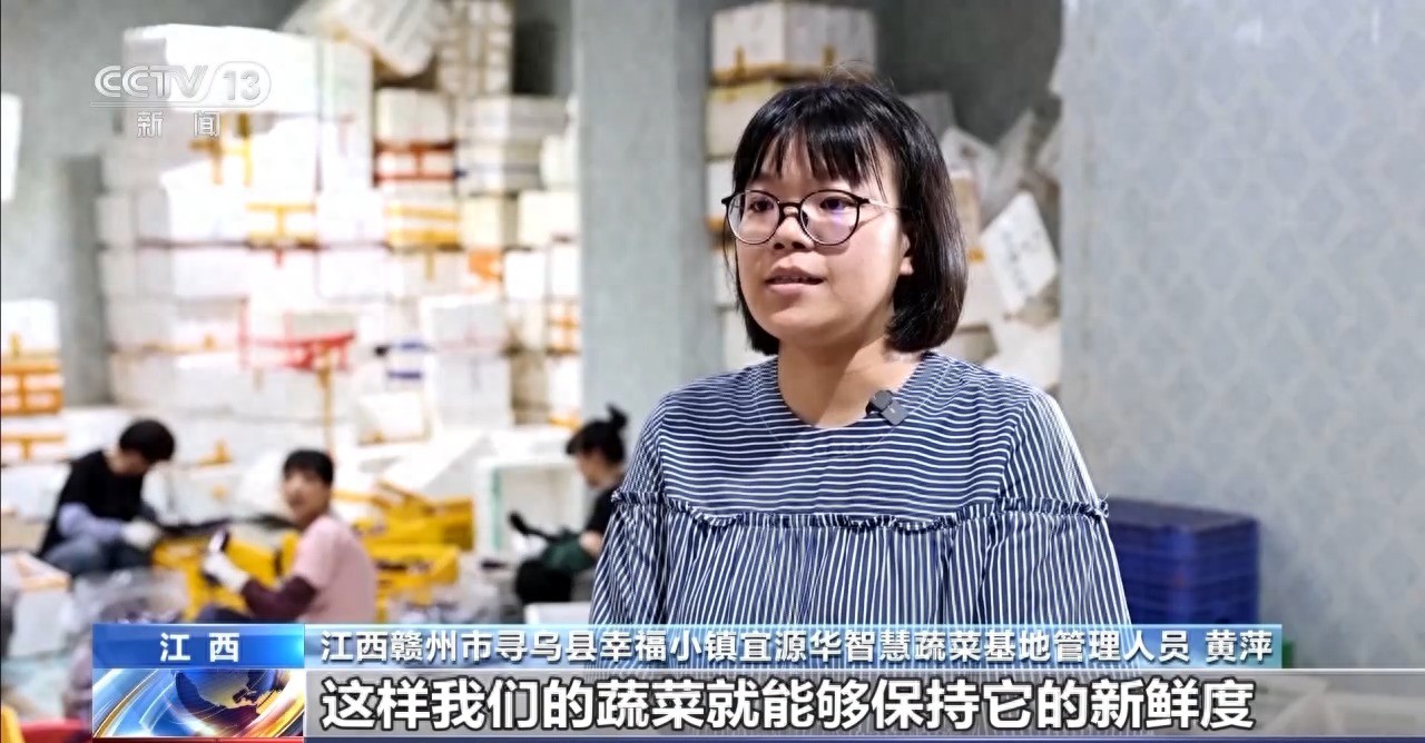 农产品冷链物流模式_农产品冷链物流体系_农产品冷链物流运作模式