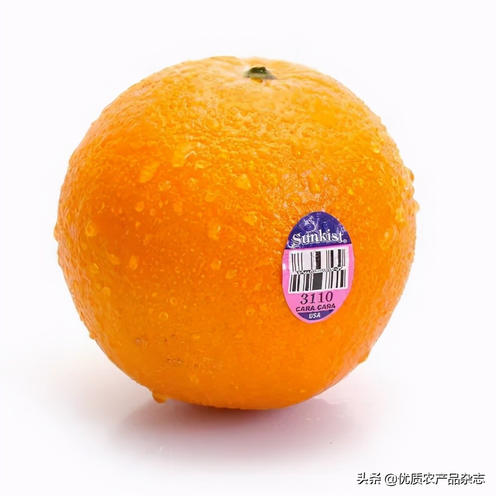 世农农业_世界农产品_农世界网