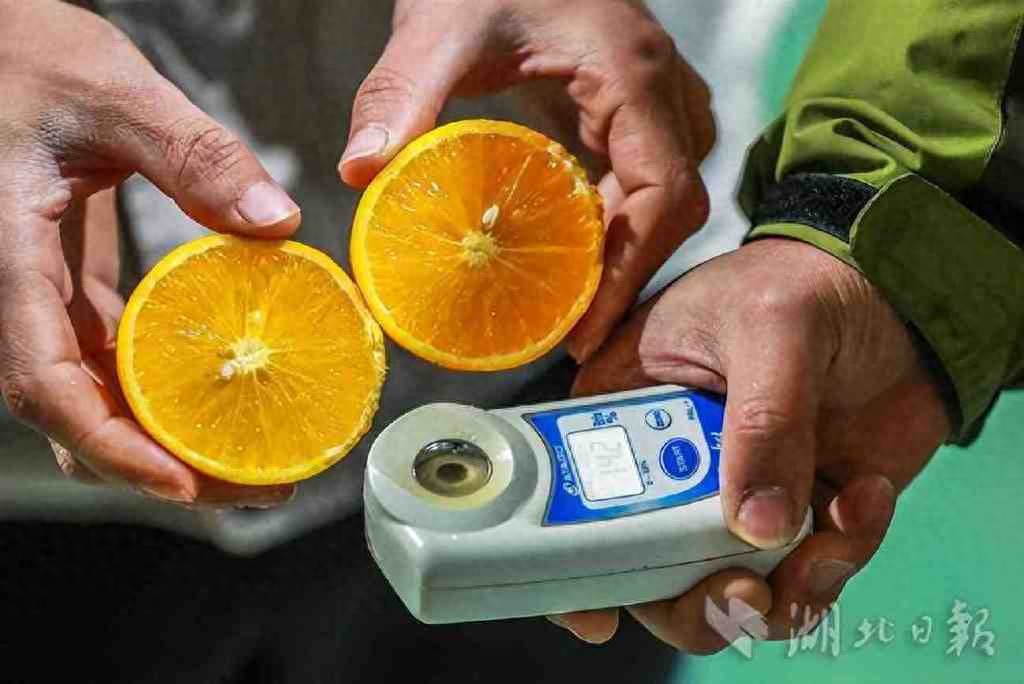 农业部抽样规范_农产品抽样管理办法_农产品抽样技术规范