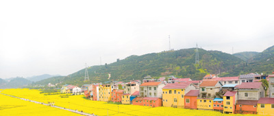 湖南麻阳苗族自治县隆家堡乡步云坪村油菜花盛开，成为热门旅游打卡点