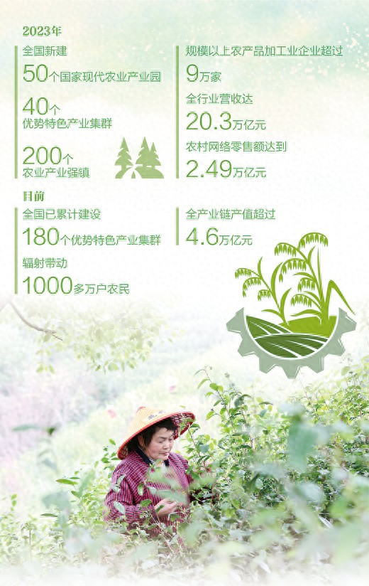 德清县双丰有机茶园春茶采摘与麻阳苗族自治县油菜花旅游打卡点助力乡村全面振兴