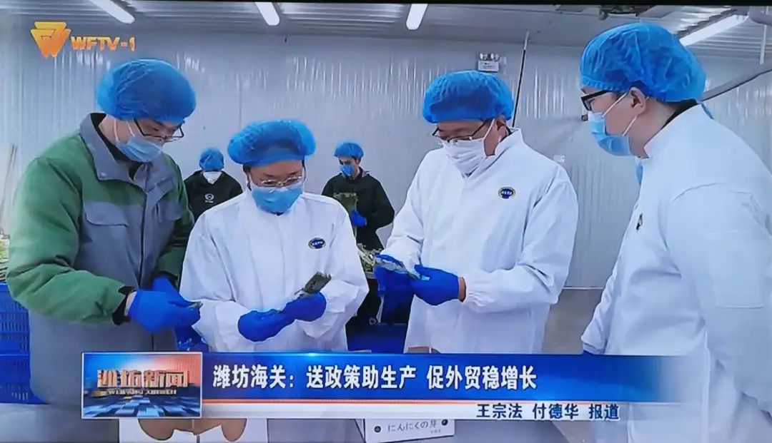 潍坊农产品出口_潍坊农产品博览会_潍坊农产品