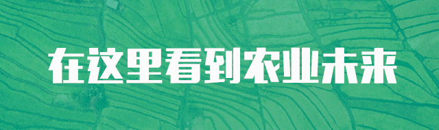 科技引领农产品供应链数字化发展：深圳市好伙计科技有限公司的破局之路