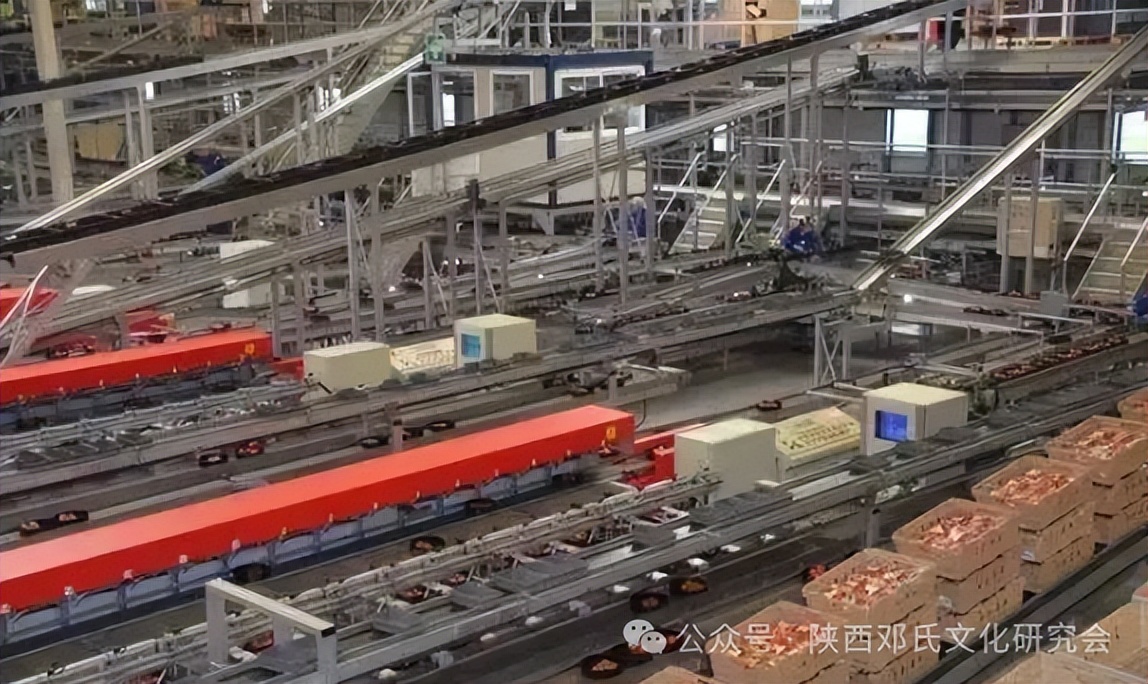 农产品冷链物流的特点_农物流冷链特点产品是什么_农物流冷链特点产品包括