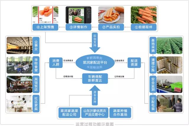 山东省供销社农业服务公司_山东省供销社农产品有限公司_山东省供销社农产品商城