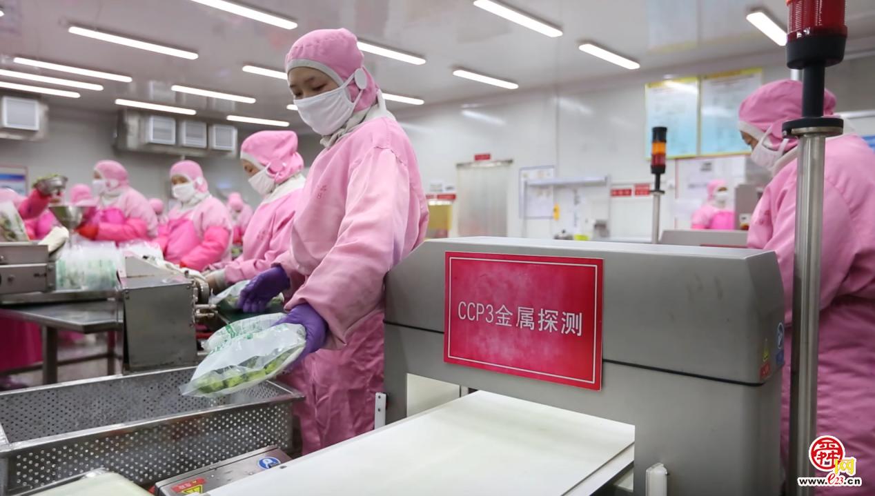 溯源农业科技有限公司_农产品溯源app_可溯源农产品