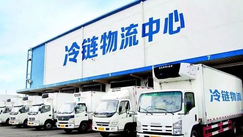 农产品冷链物流需掌握三大特点_农产品冷链物流的特点_农物流冷链特点产品有哪些