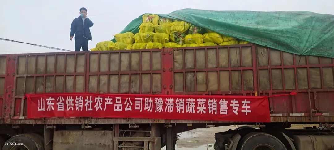 山东省供销社农业服务公司_山东省供销社农资公司_山东省供销社农产品有限公司