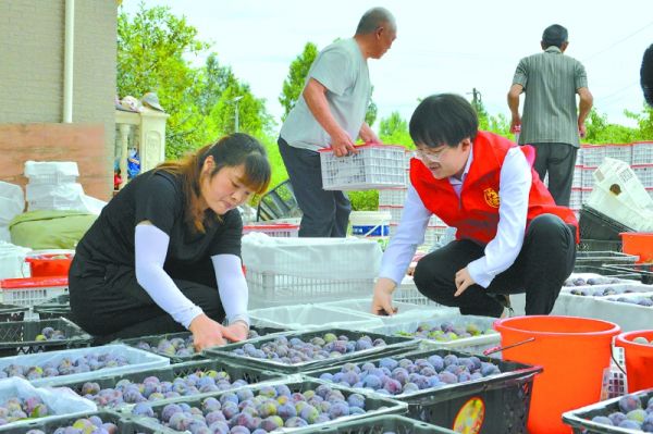 川北农贸批发市场_川北农产品交易市场_川北农产品新批发市场