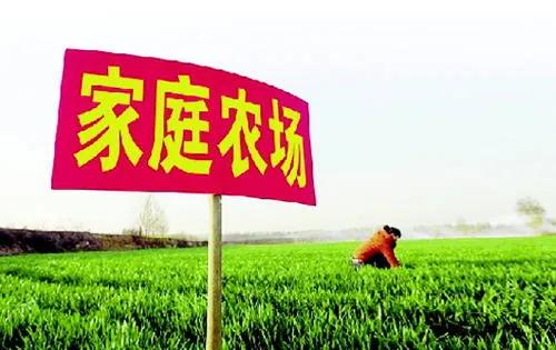 家庭农场登记的必要性及主体要求详解：政策支持与继承发展
