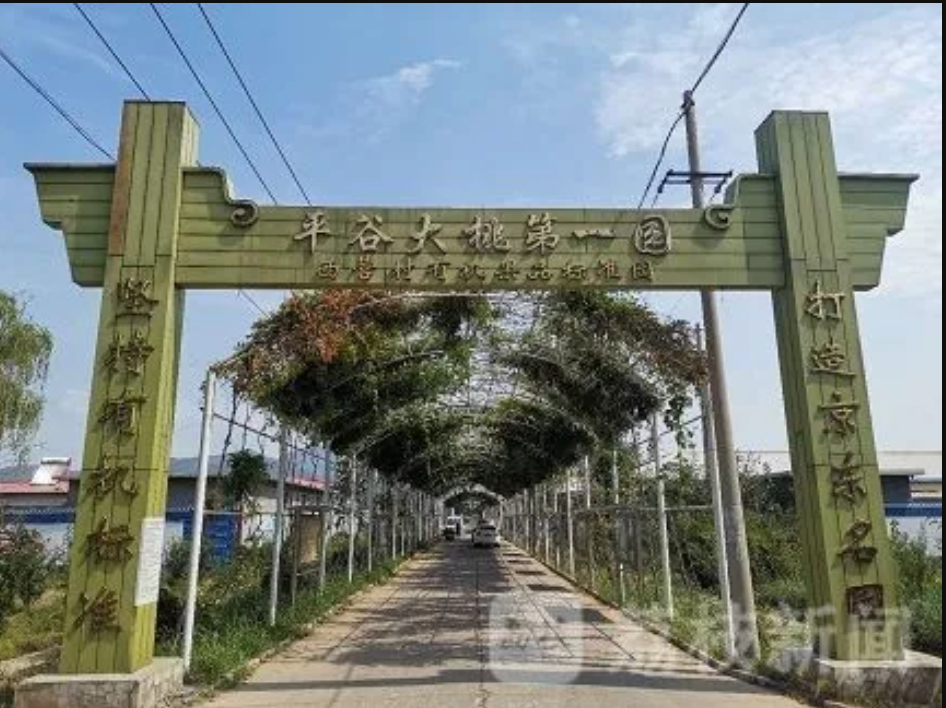 农产品电商宣传语_农村电商平台宣传词_农村电商宣传广告语