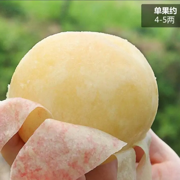 农村电商平台宣传词_农村电商宣传广告语_农产品电商宣传语