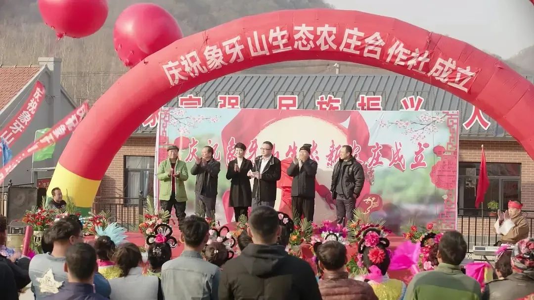 云南农产品芋头赚钱吗_云南芋头价格_云南芋头的功效与作用
