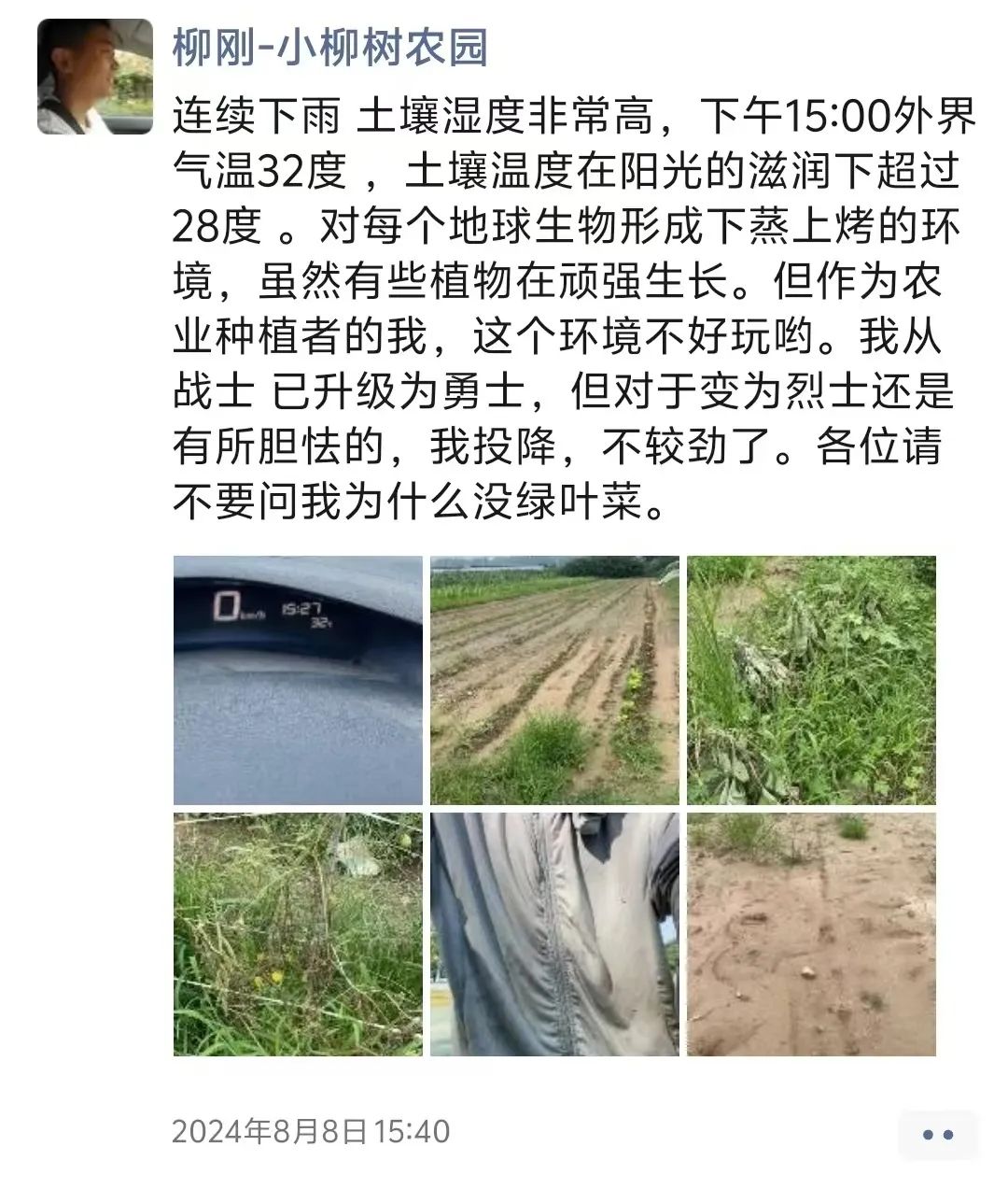 云南芋头价格最新行情_云南芋头价格_云南农产品芋头赚钱吗