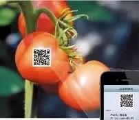 蔬菜无公害农产品生产标准_无公害蔬菜产地环境标准_农产品安全质量无公害蔬菜产地环境要求