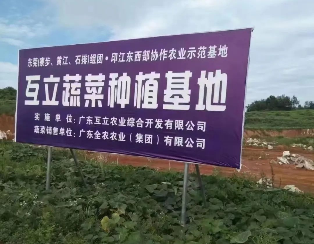 印江的特色农产品_农村特色农产品_特色农产品的意义