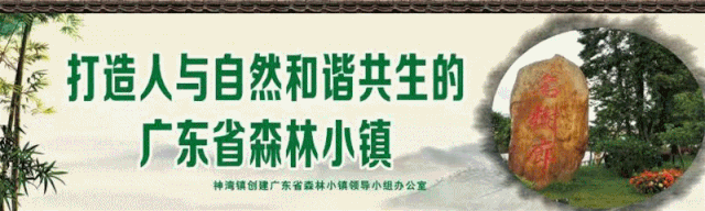 农产品直销用什么软件_农产品直销模式_直销软件直销系统