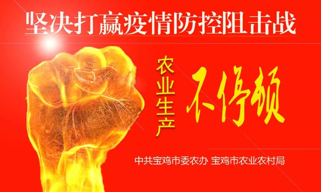 全省农产品质量安全强监管推进会在宝鸡市召开，推进农业农村高质量发展