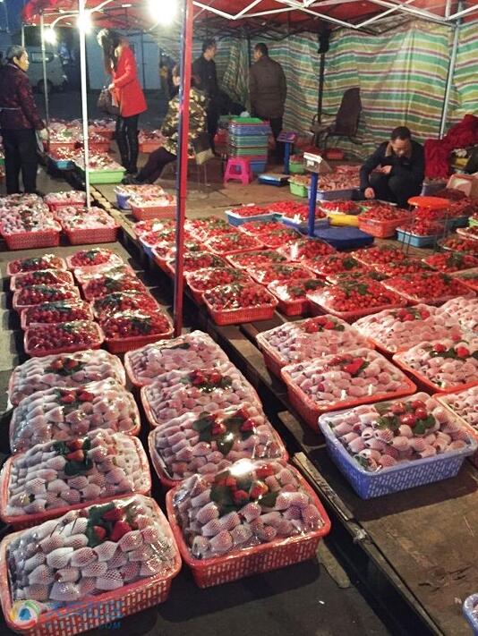 四川农产品批发市场_四川农副产品批发市场_四川农产品批发交易市场
