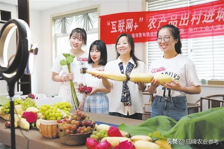 农业品牌推广方案_农产品 品牌推广_农作物品牌推广