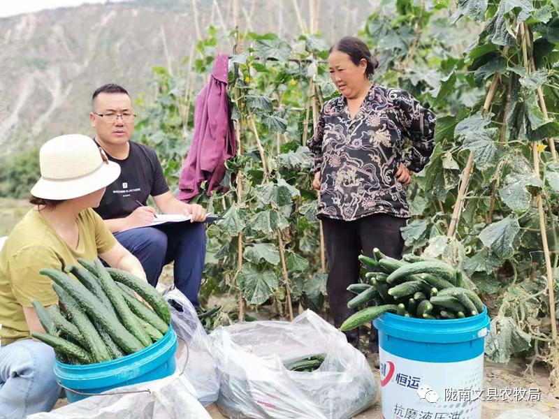 2021年文县农产品质量安全监管成效显著，中秋国庆期间农产品安全无忧