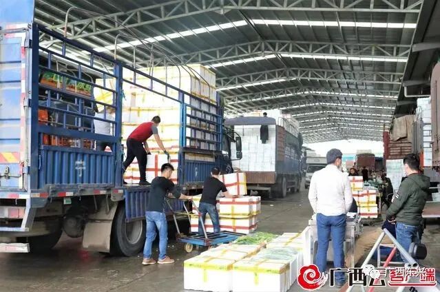 金桥农产品_金桥农庄怎么样_金桥农资公司怎么样