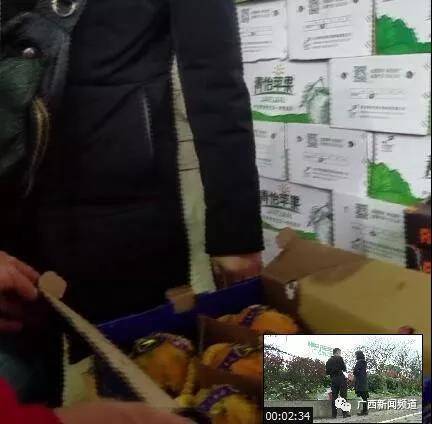 金桥农产品_金桥农庄怎么样_金桥农业发展有限公司