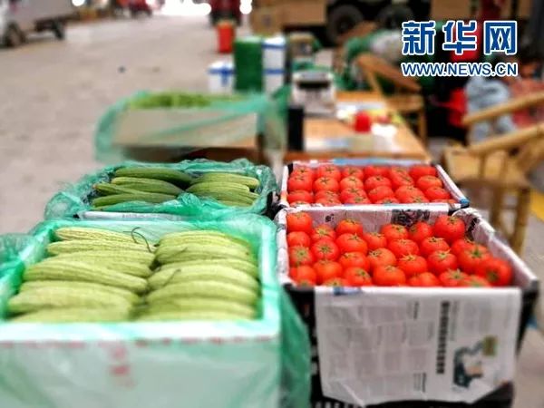 宏鸿农产品_宏昊农产品交易中心_中山宏昊电器有限公司