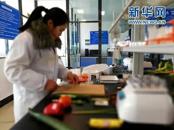 宏鸿农产品_宏昊农产品交易中心_中山宏昊电器有限公司