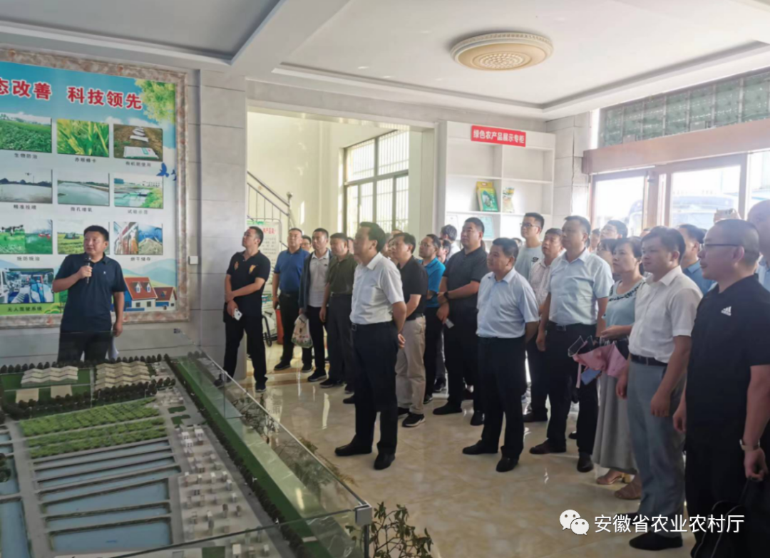 农产品质量安全监管工作总结_农产品质量安全监管的工作总结_农产品质量安全监管工作总结