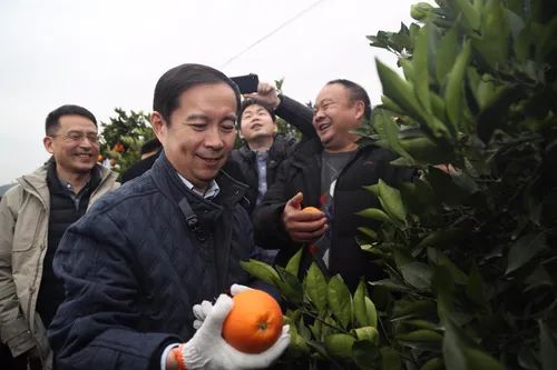 农户直销_美国农产品直销模式_农民直销