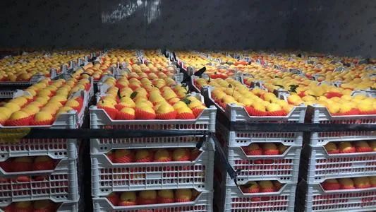 美国农产品直销模式_农民直销_农户直销