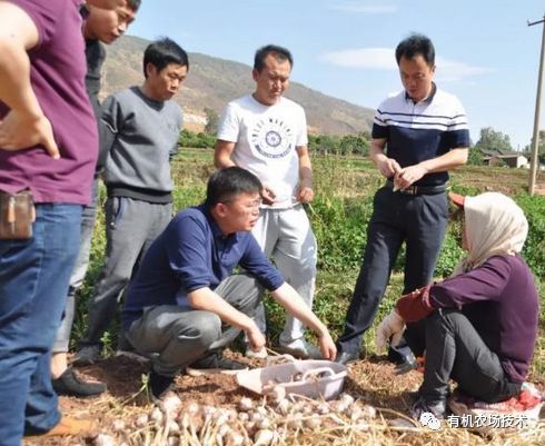 农业直销模式_美国农产品直销模式_农民直销