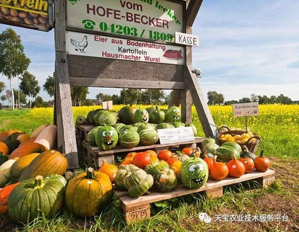 美国农产品直销模式_农业直销模式_农民直销