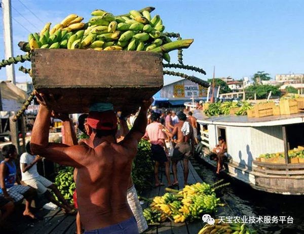 农民直销_美国农产品直销模式_农业直销模式