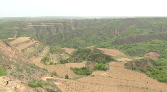 中国苹果价格暴涨原因揭秘：霜冻灾害影响产量，果农损失惨重